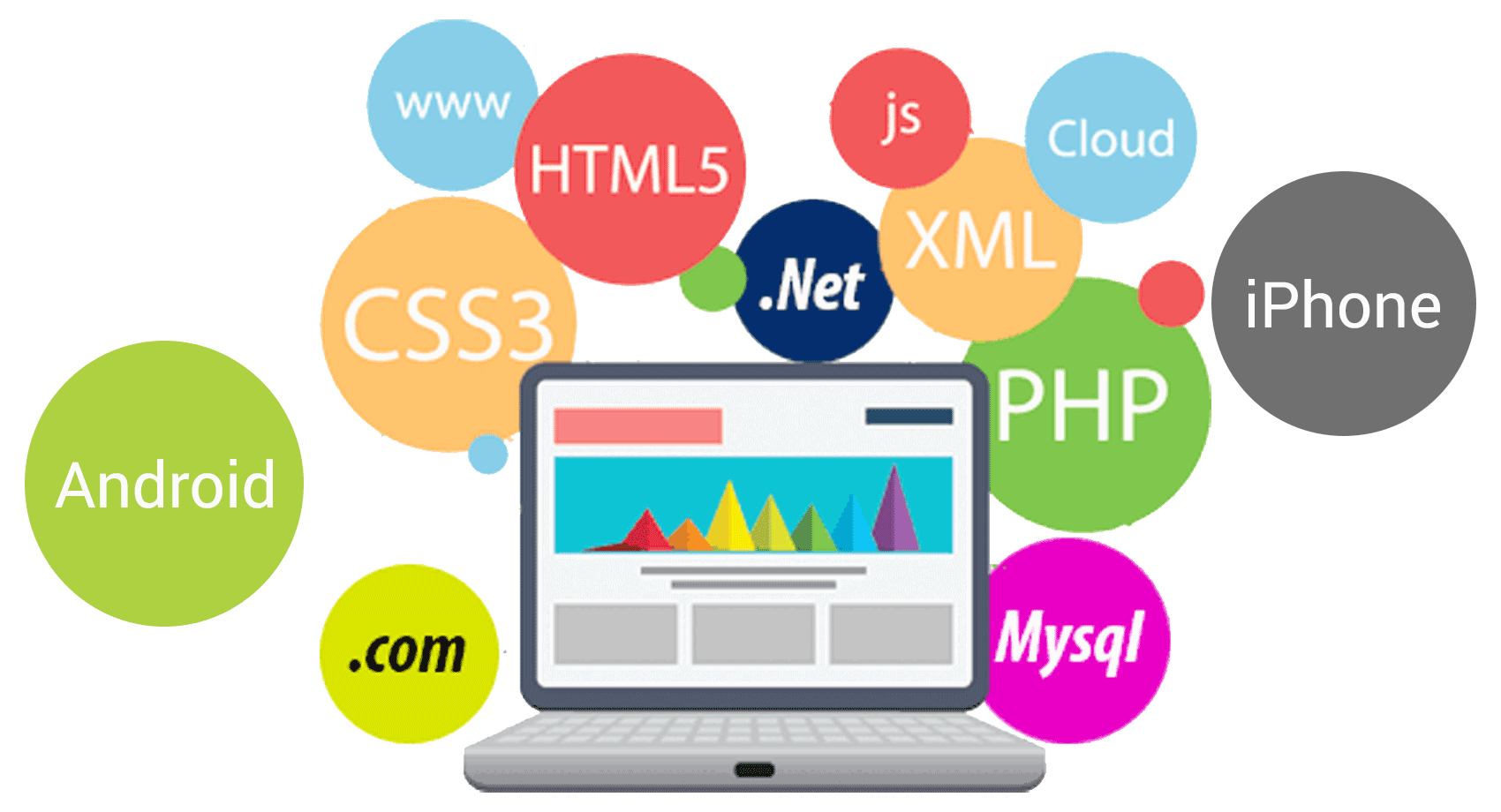 Web Development